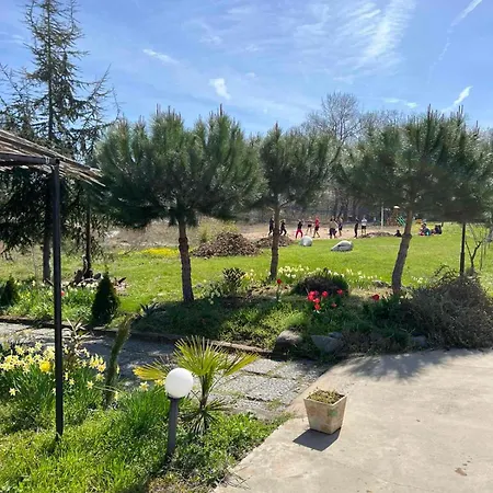 Surf Ξενοδοχείο *