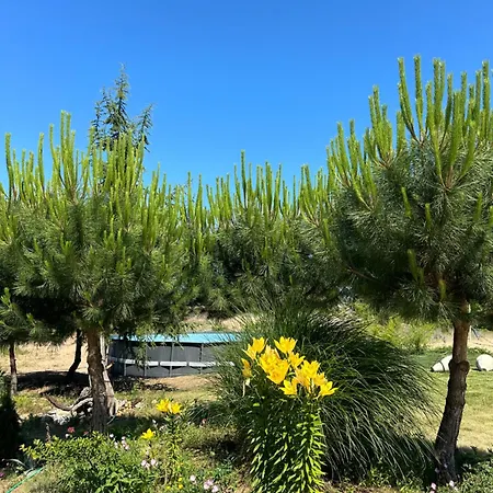 Surf Ξενοδοχείο Πριμόρσκο